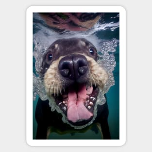 Dogs in Water #9 Sticker